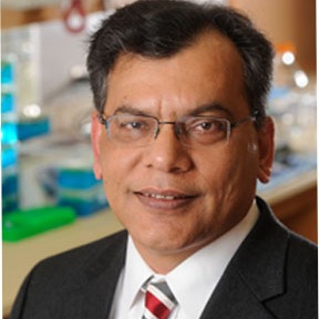 Photo of Maia Chankseliani, PhD